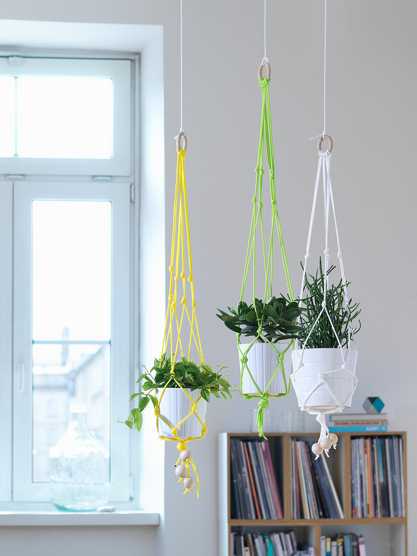 A DIY macramé hanging basket