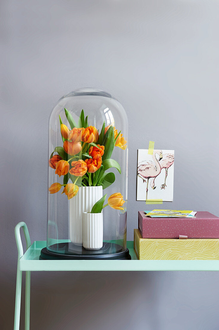 Vase of tulips under large glass cover