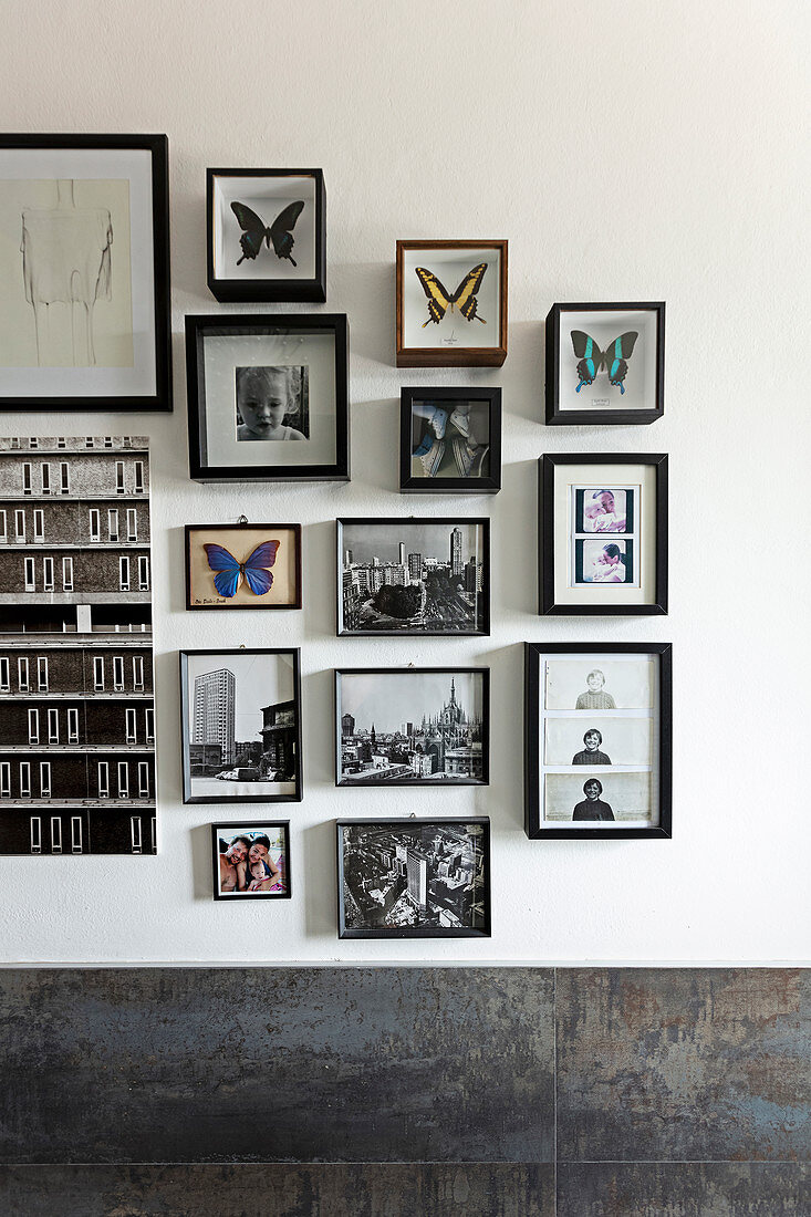 A gallery of black-and-white photos and butterfly pictures on a wall