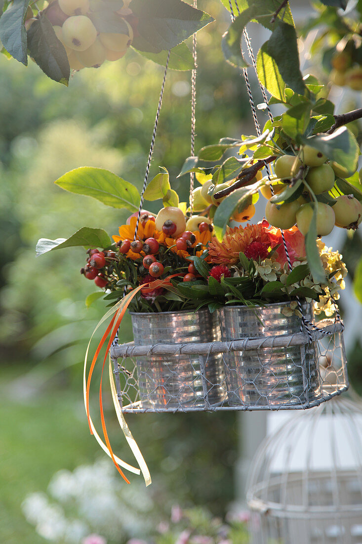 Posies of rose hips and chrysanthemums in tin cans hung from apple tree in wire basket
