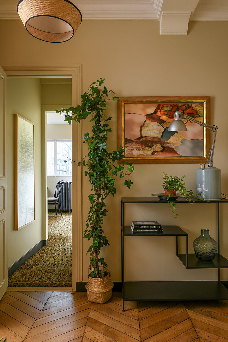 Potted ivy next to modern metal shelving