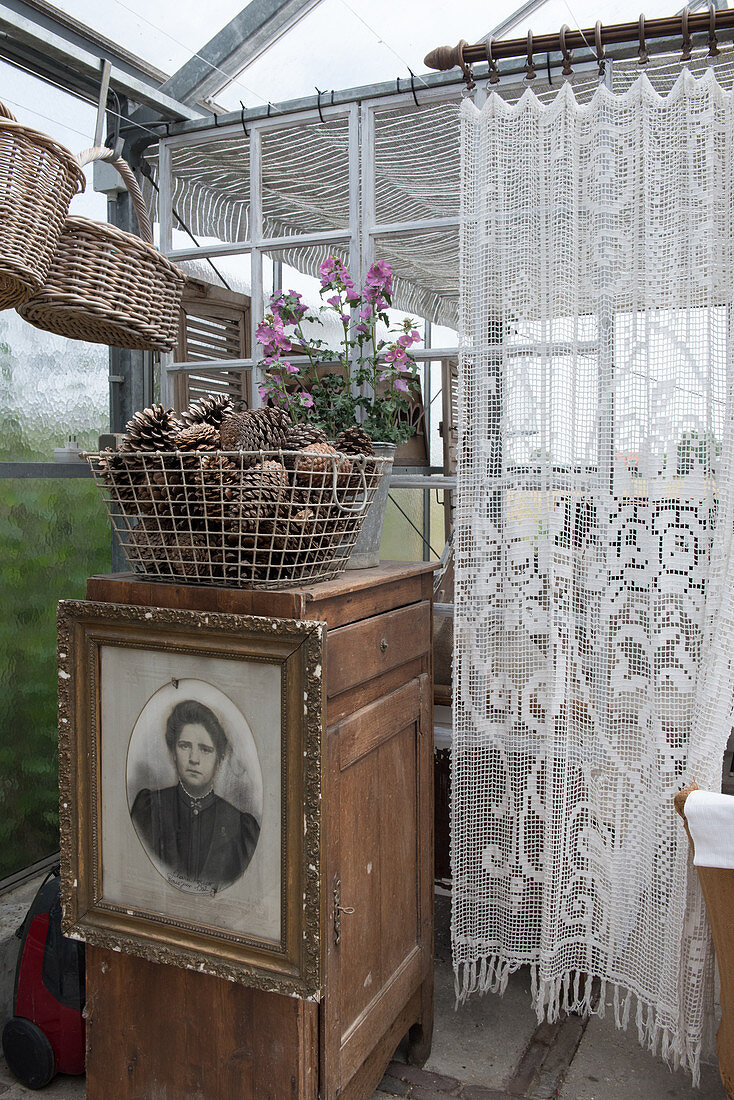 Korb mit Zapfen auf altem Schrank mit Portrait im Glashaus