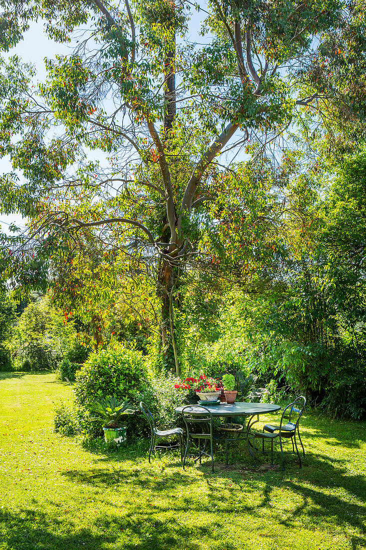 Tisch mit Stühlen unter Baum im Garten