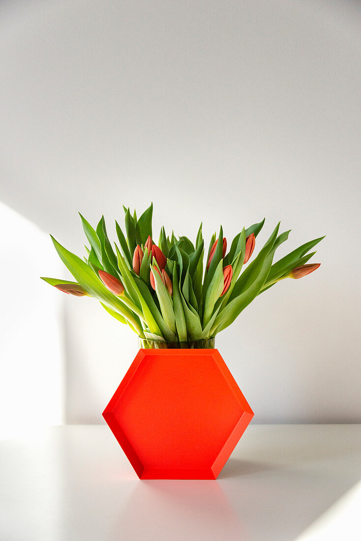 Sechseckiges Tablett in Orange lehnt vor einer Vase mit Tulpen