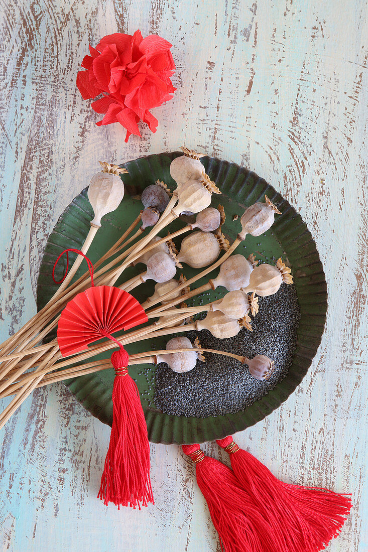 Dried poppy seed heads, poppy seeds and red tassels