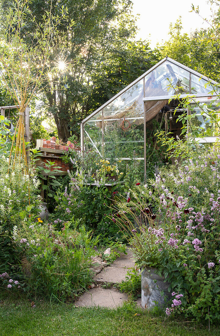Gewächshaus in sommerlichem Garten mit üppiger Bepflanzung
