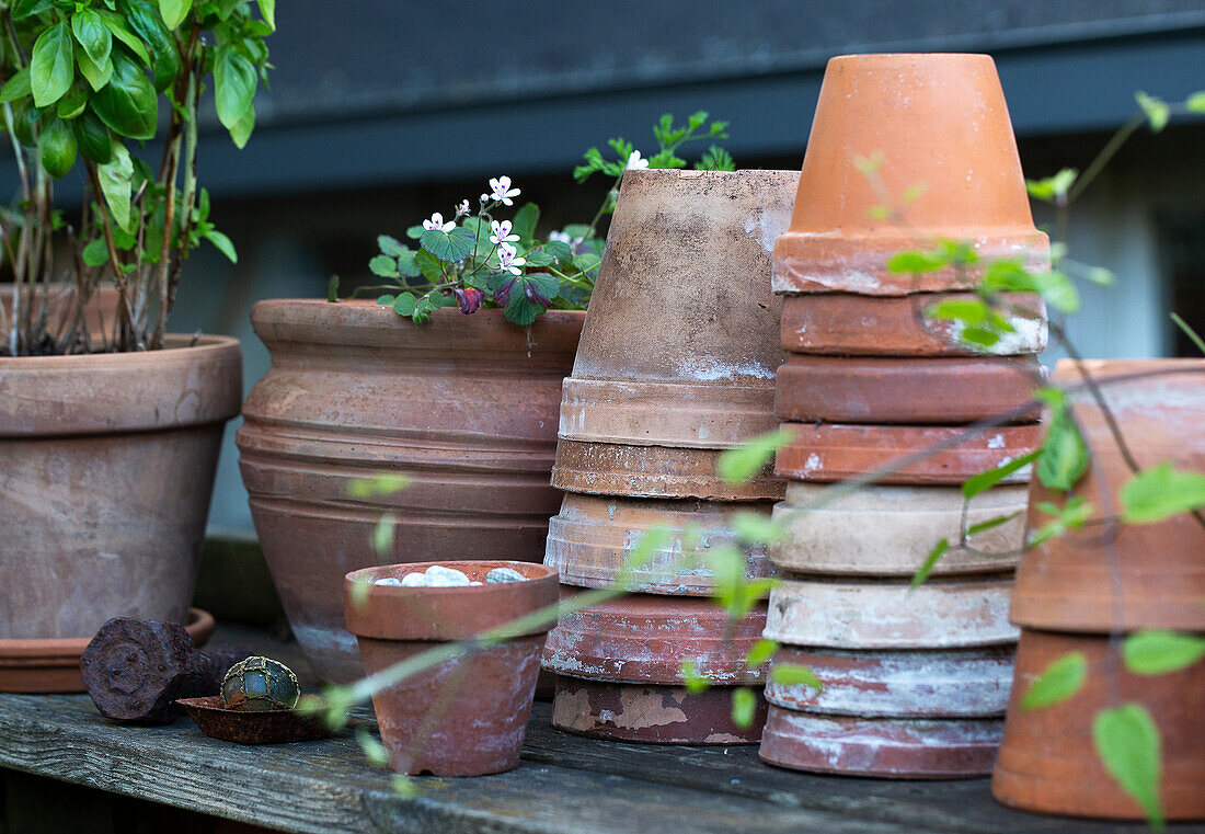 Old terracotta pots stacked on top of each other on a planting table
