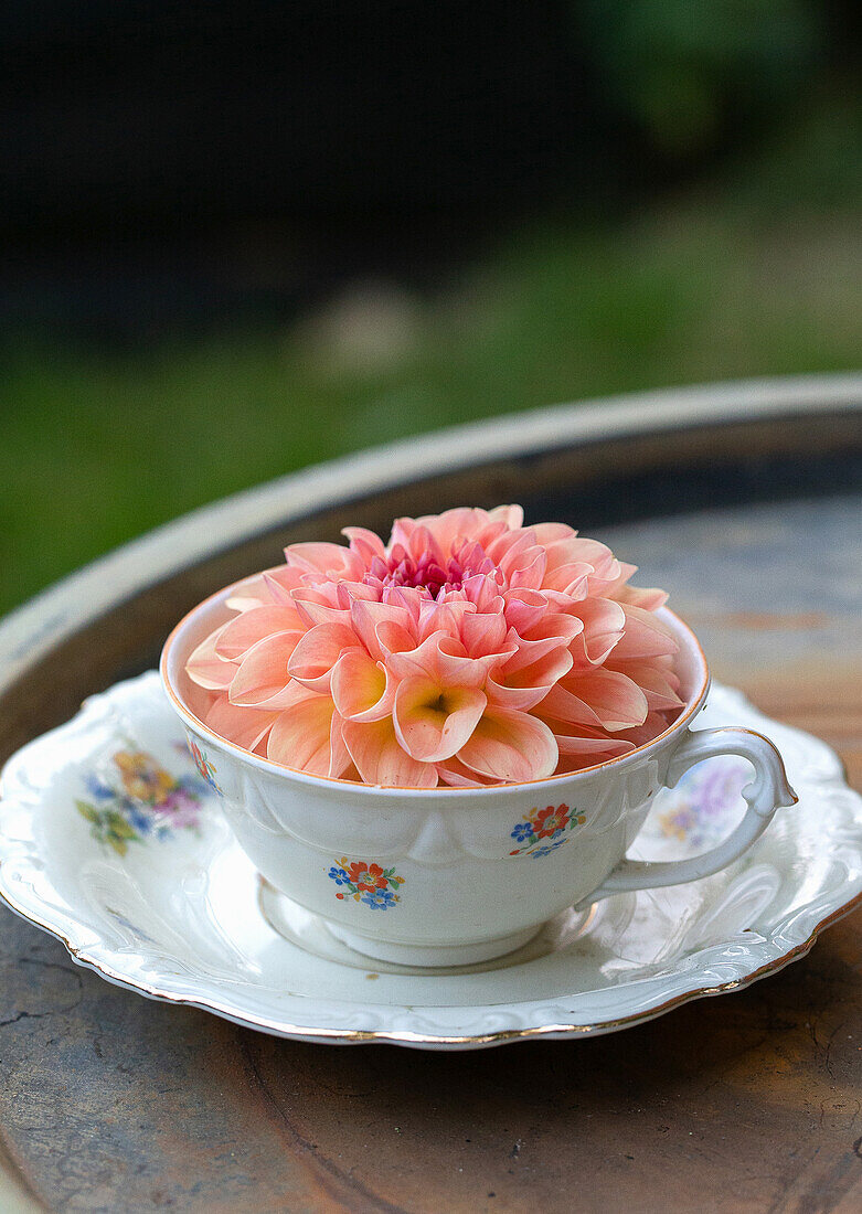 Kaffeetasse vom Flohmarkt mit Dahlienblüte