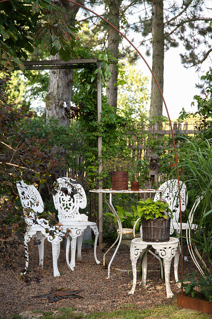 Seating area with white chairs under pine trees in the garden