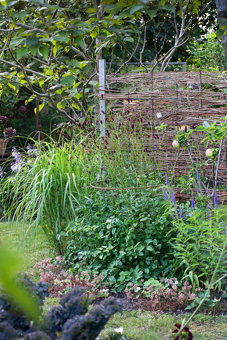DIY privacy screen made of thin twigs behind the flower bed