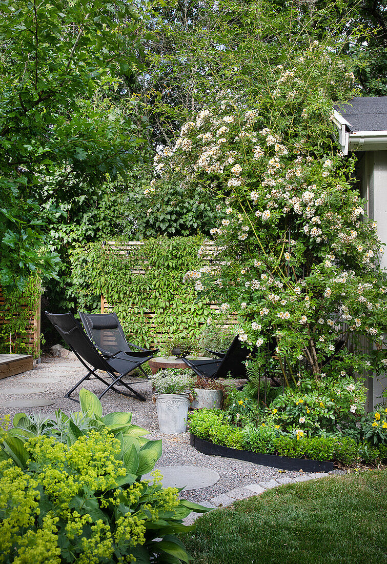 Terrace with black patio furniture, surrounded by rambler rose
