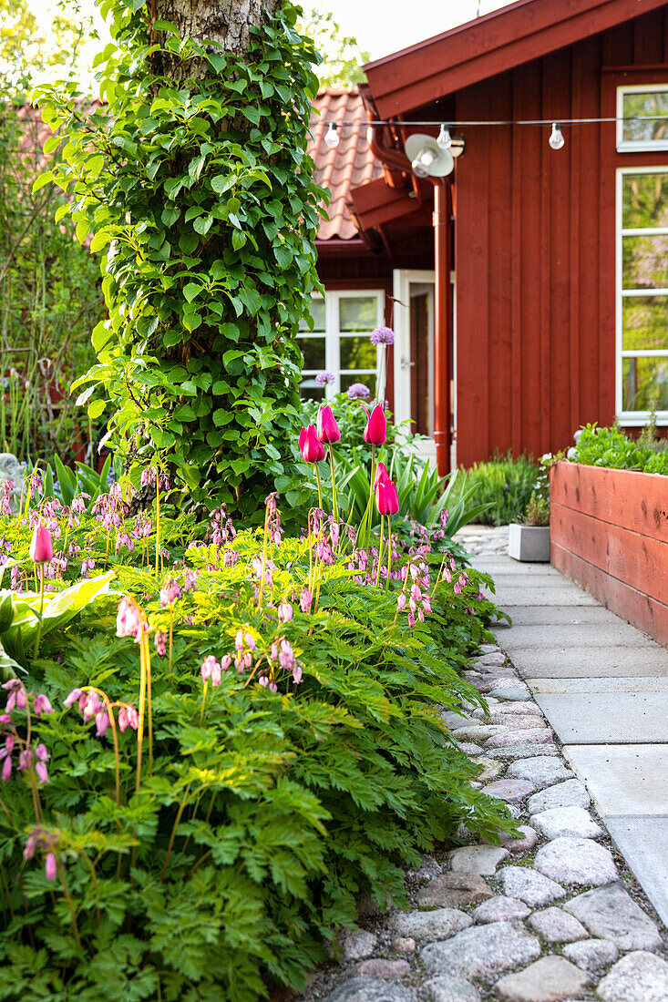 Paving stones and stepping stones between flower beds and raised beds