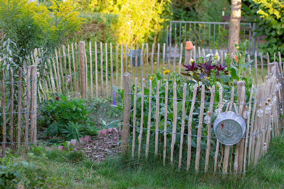 Flower bed in garden with picket fence