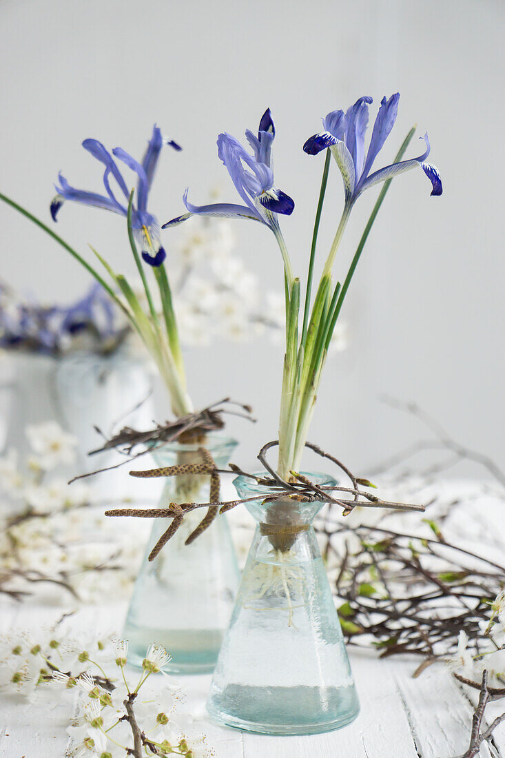 Small bud vases filled with irises