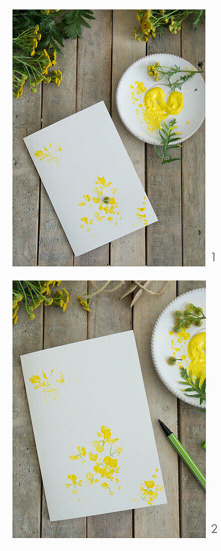 Einladungskarte mit Blütendruck aus Rainfarn (Tanacetum vulgare) herstellen