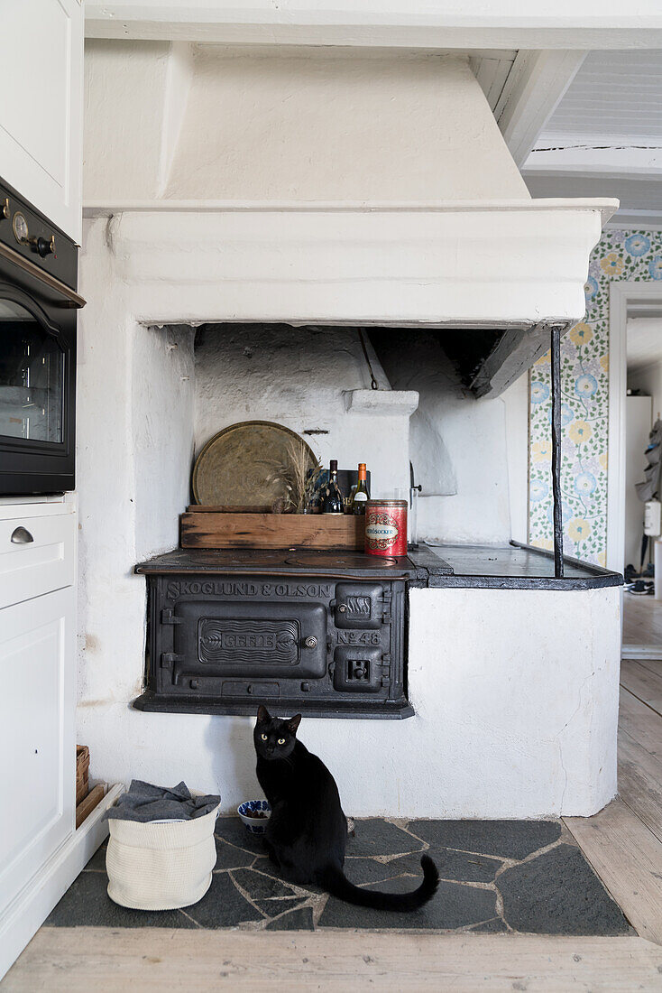 Old cast iron wood-burning stove, cat on stone slabs in front of it