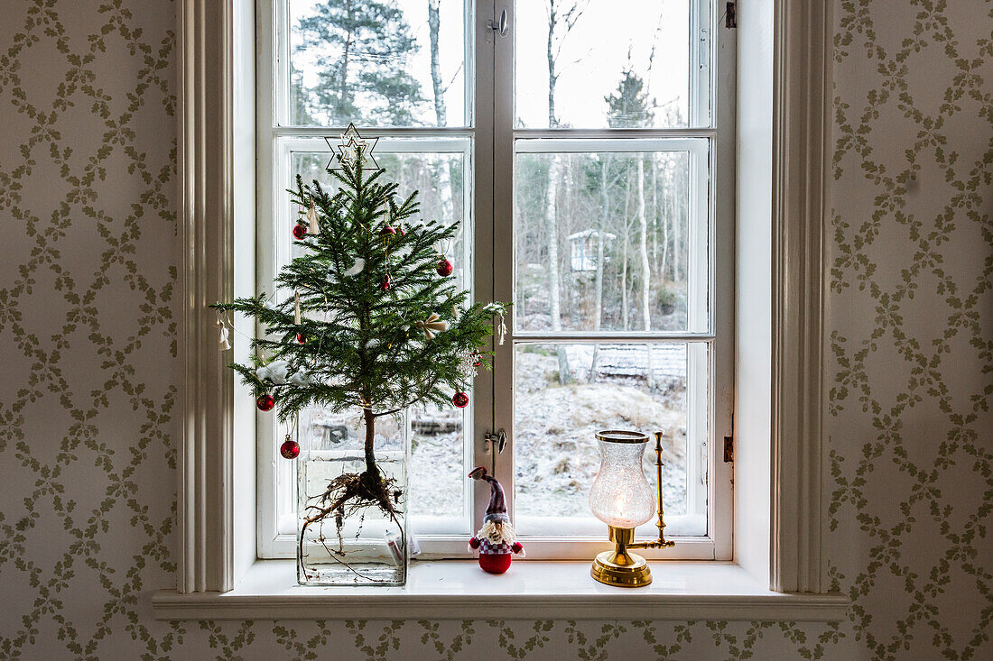 Weihnachtsbaum auf der Fensterbank