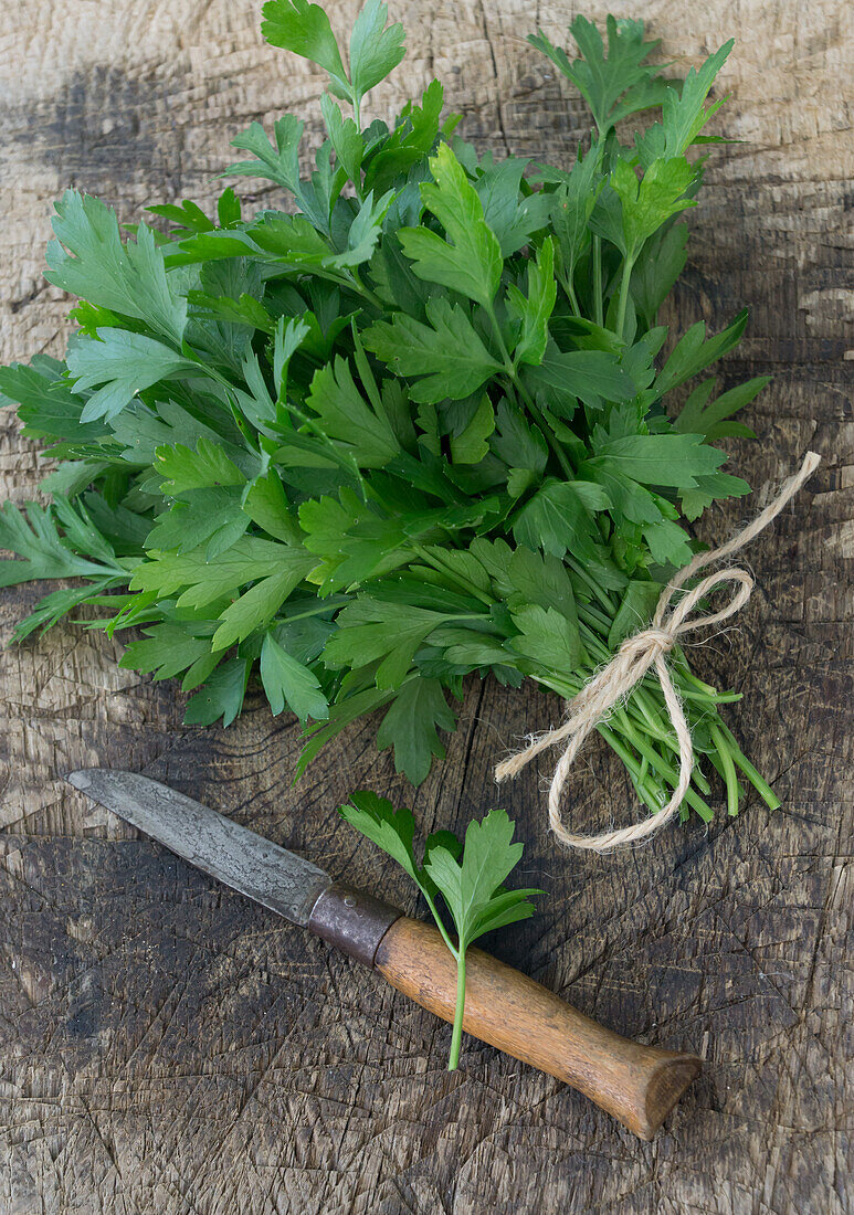 A bunch of flat-leaf parsley, on wooden board with rustic knife