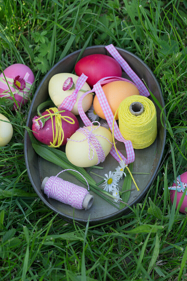 Colorful Easter eggs in a baking tin, lying in the grass
