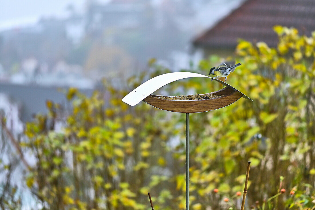 DIY bird feeding station