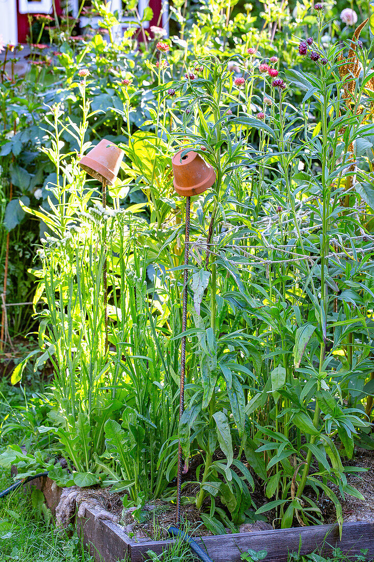 DIY-Pflanzenstütze im Garten