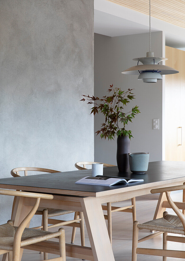 Long dining table with classic chairs in front of a concrete wall