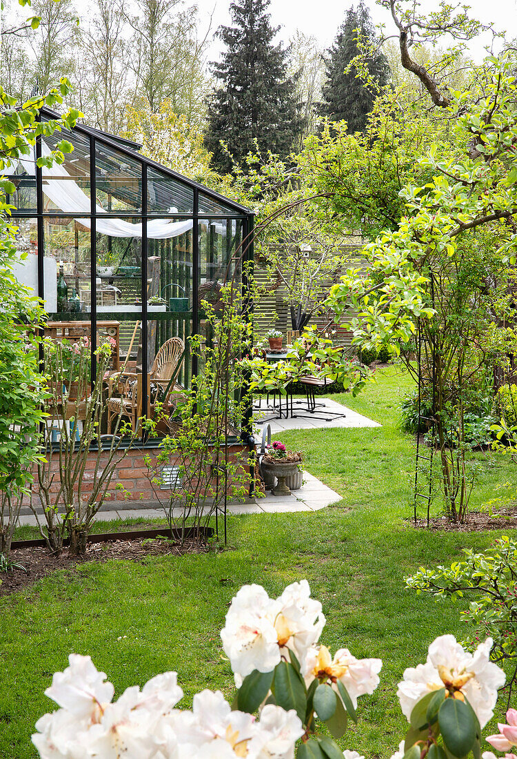 Blooming rhododendron with view of greenhouse and apple tree