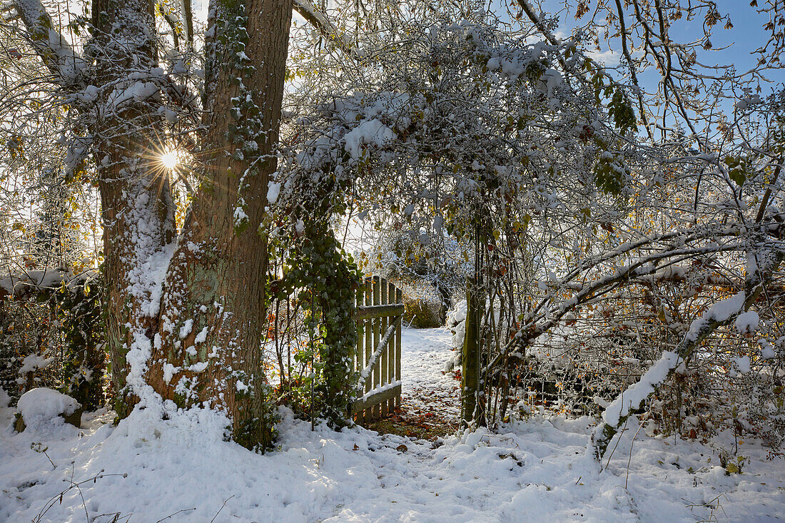 Garden gate in winter, Germany