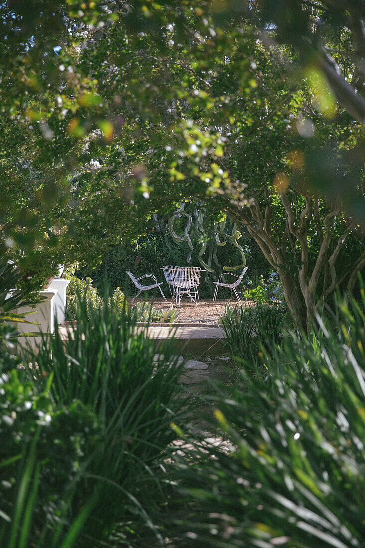 Blick durch dicht bewachsenen Garten auf Terrassenplatz