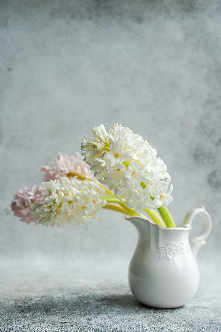 Hyacinths (Hyacinthus) in a white ceramic jug