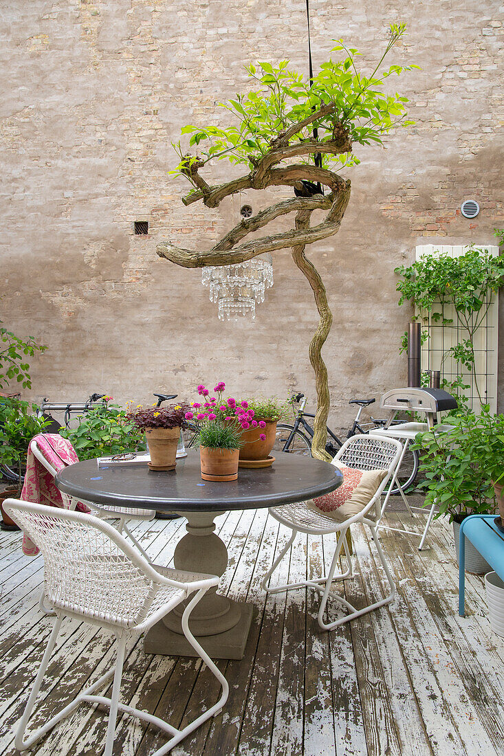 Rustic patio with twisted bonsai tree and vintage furniture