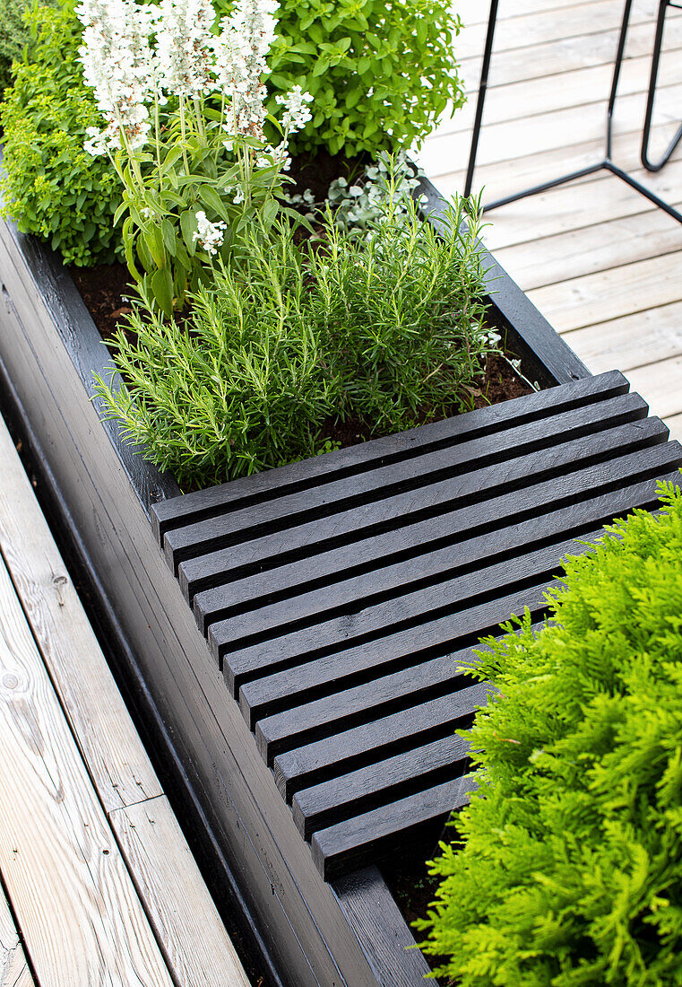 Black raised bed with herbs and flowers on the terrace