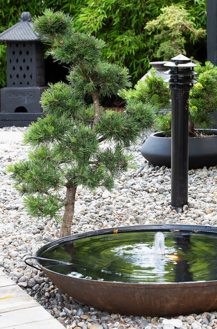 Asian-inspired garden design with water feature and gravel