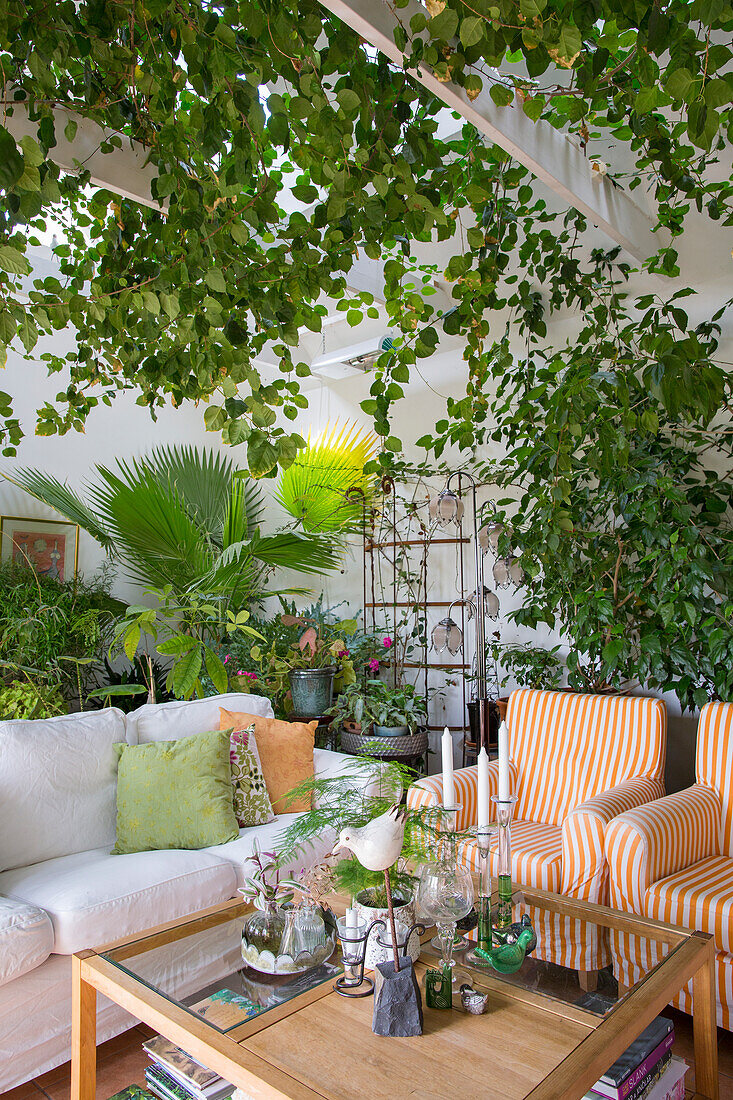 Lounge with green plants in hardy cultivation