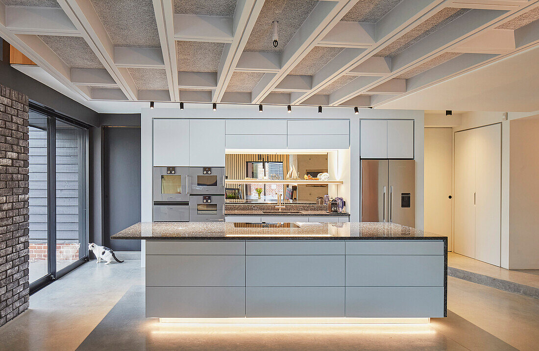Open kitchen with suspended coffered ceiling