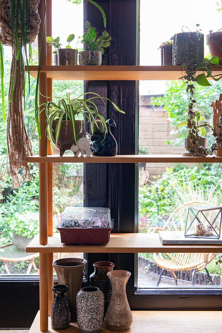 Pflanzenregal am Fenster mit Töpfen und Vasen mit Gartenblick