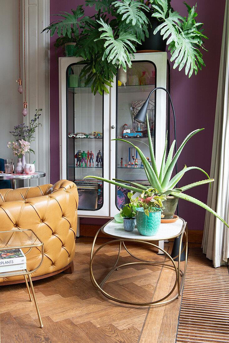 Leather armchair, plants and round side table in front of display cabinet