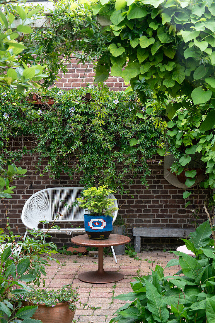 Small seating area in the patio with brick wall and climbing plants