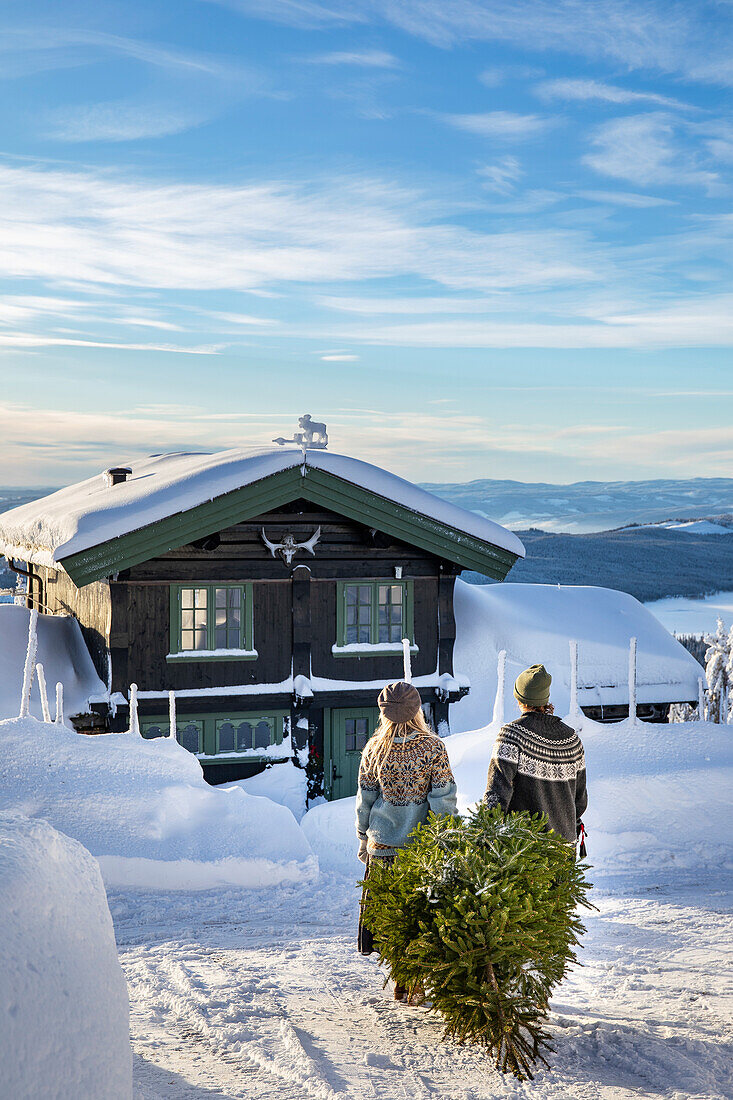 People carrying Christmas tree to snow-covered wooden house in winter