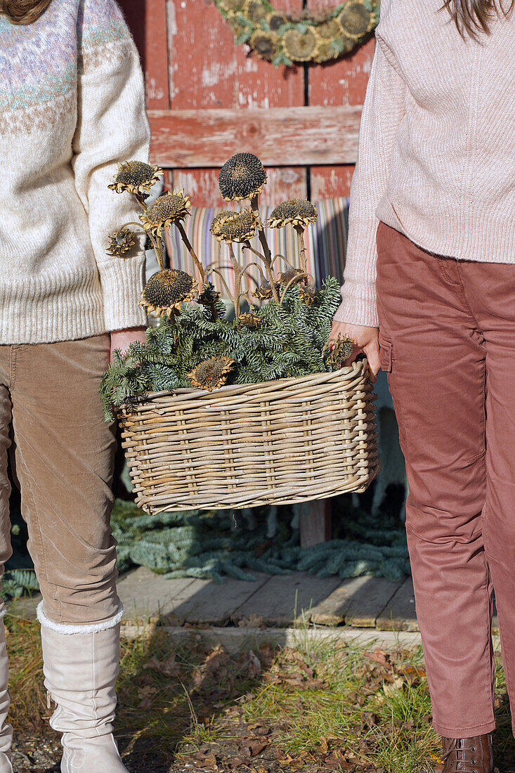 Two people holding basket with dried sunflowers