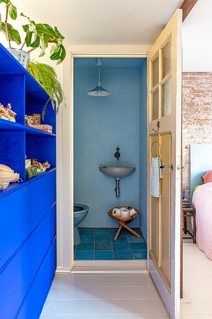 Narrow guest bath in blue tones and toilet roll holder