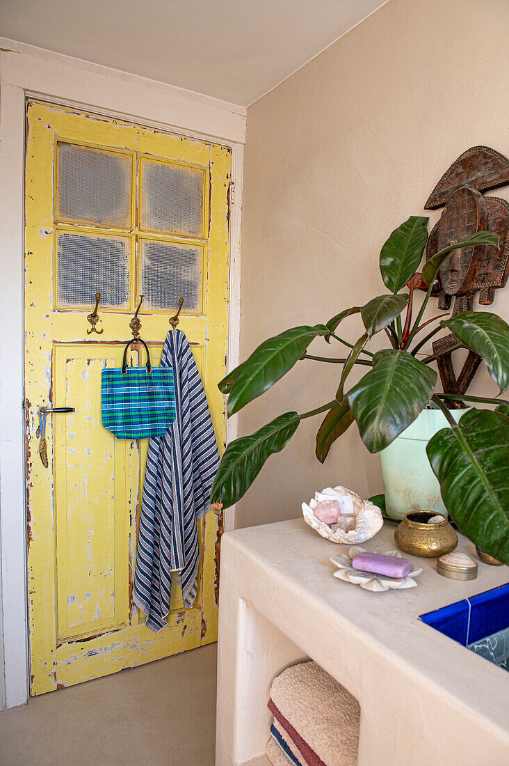 Light yellow vintage door with patina, houseplant and decoration