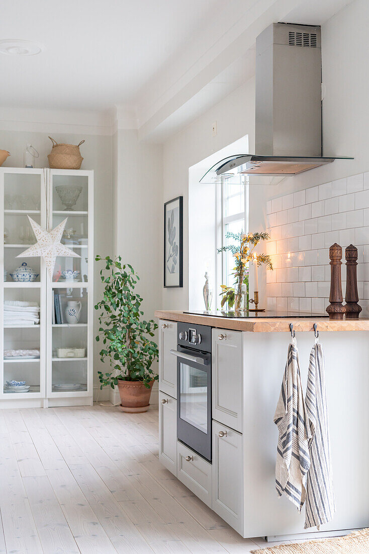 White kitchen with plant and display cabinet, country house style