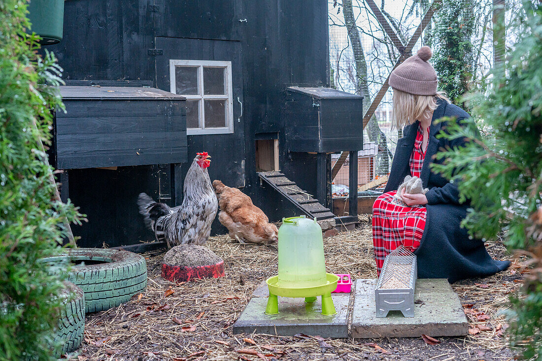 Woman watching chickens in the garden next to a chicken coop