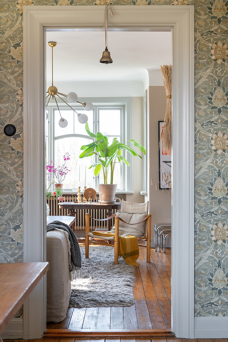 View through doorway to living room with houseplants