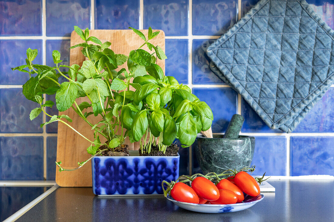 Basil and fresh tomatoes on the kitchen counter