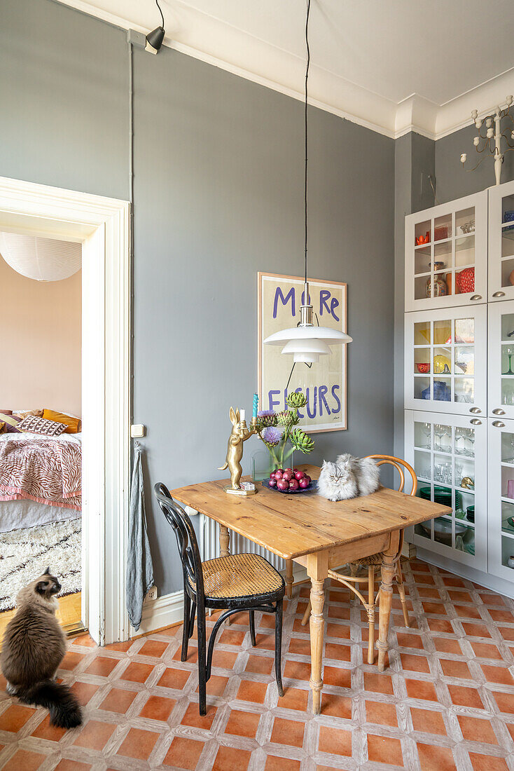 Vintage dining area with cat, wooden table and pendant light, terracotta tiles