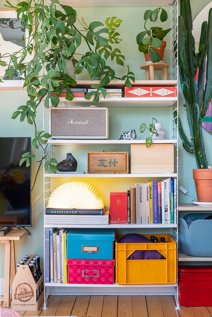 Retro Regal mit Büchern, Kisten und Zimmerpflanzen