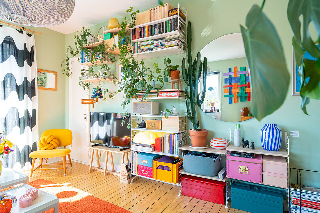 Retro shelves and houseplants in colorful living room