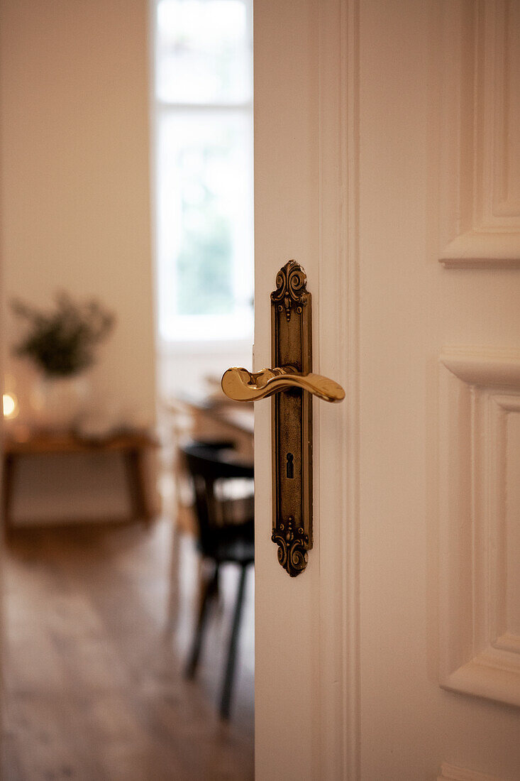 Golden door handle on white door with view into the room